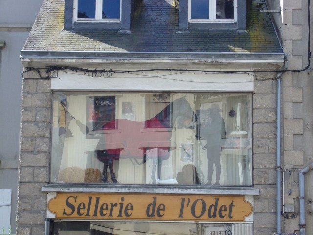 Pferd auf dem Flur
