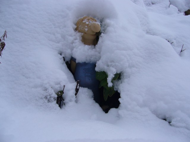 Weißer Wintermantel