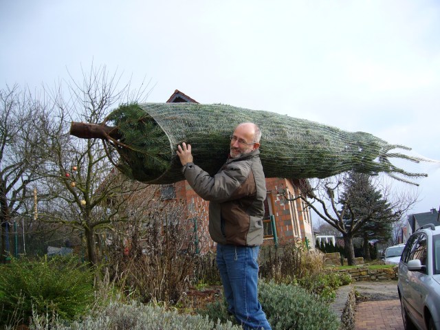 Baumträger Baumträger