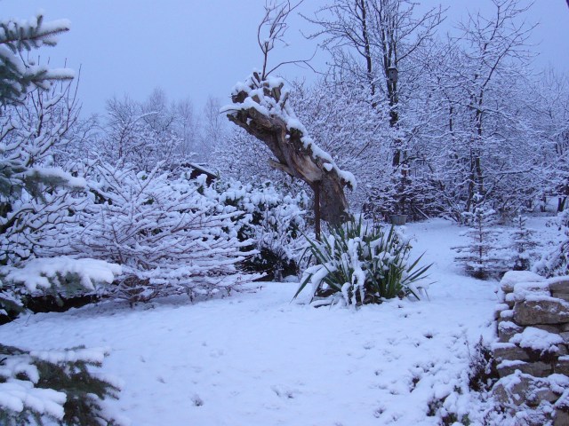 dezember-garten Garten am 12. Dezember