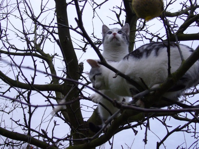 Wie komme ich da hin?