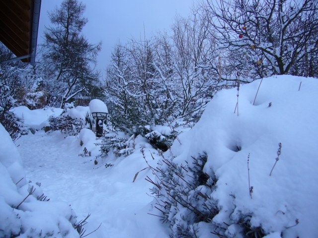 eingeschneiter Weg am Haus