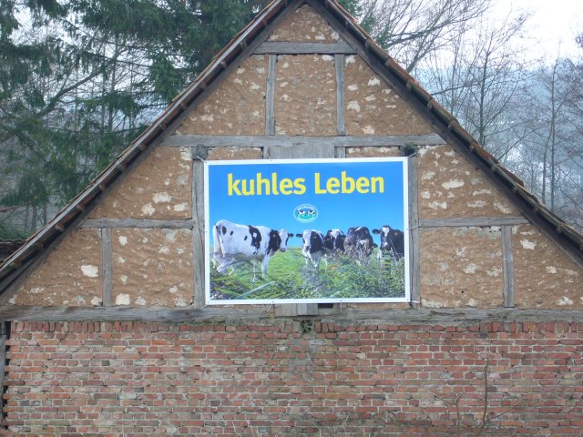 kuhles Leben