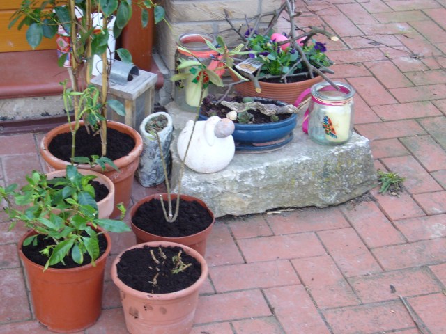 in frischer Erde in frischer Erde