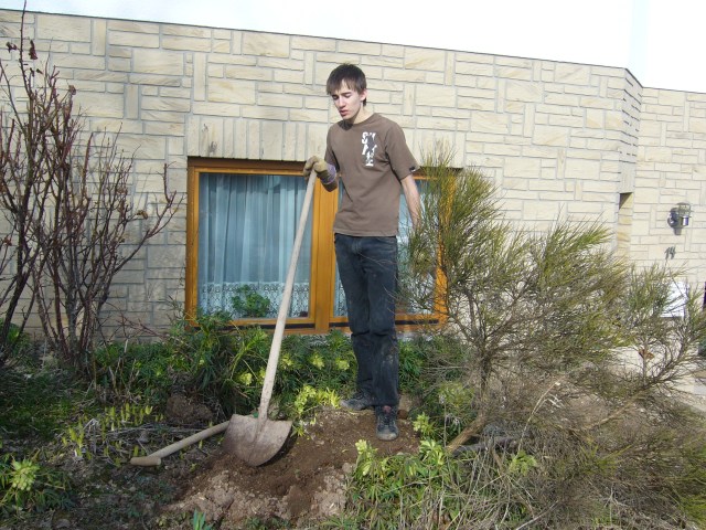 Loch wieder zu buddeln Loch wieder zu buddeln