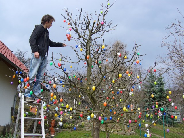 Eier-Balance Eier-Balance