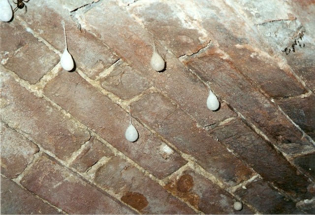 alter Keller alter Keller