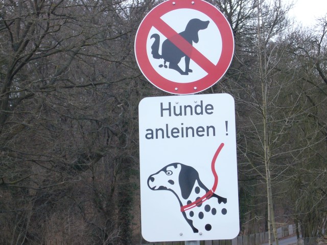 ausgenommen braune Hunde