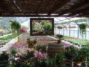 Spieglein, Spieglein...