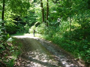 Hänsel und Gretel  Weg