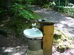 Wasser aus Wald Wasser aus Wald