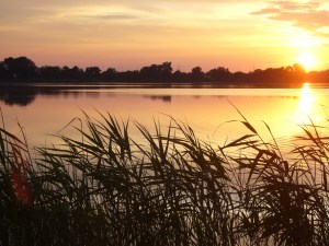 Sonnenuntergang mit Froschkonzert Sonnenuntergang mit Froschkonzert