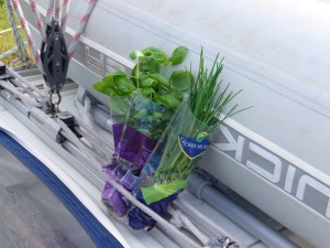 Minimalausrüstung Minimalausrüstung