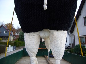 Na, was ist das für ein Tier?