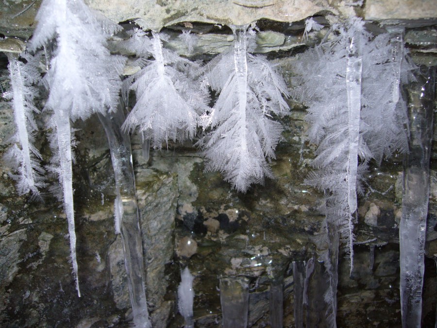 Eisblumen oder Eiszapfen?