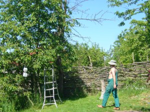 Petersen schleicht sich an