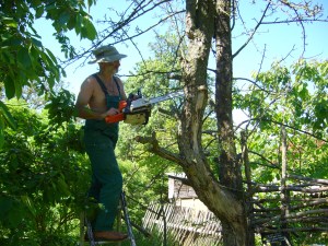 Operation mit  Kettensäge