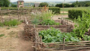 Gemüse und Kräuter