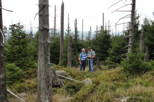 müsste eigentlich...