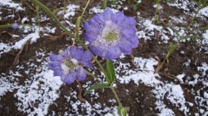 gleich neben einem Weihnachtsmarkt