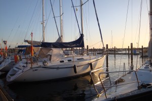 Paula bei Sonnenaufgang