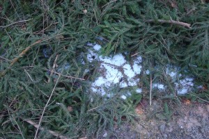 Schnee von gestern