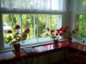 Blick aus der Veranda Blick aus der Veranda