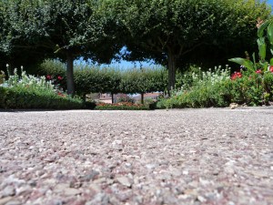 NürnbergerBurgBeete