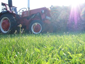Trecker in Abendsonne