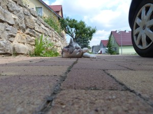 underpfote underpfote