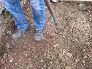 Kraftprotz Kraftprotz