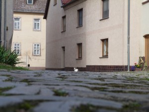 Sonntagsschlaf Sonntagsschlaf