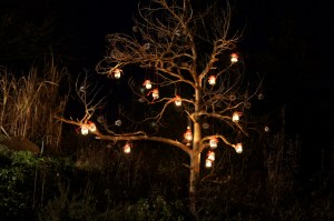 illuminiert illuminiert