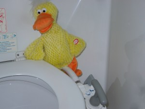 WC-Ente WC-Ente