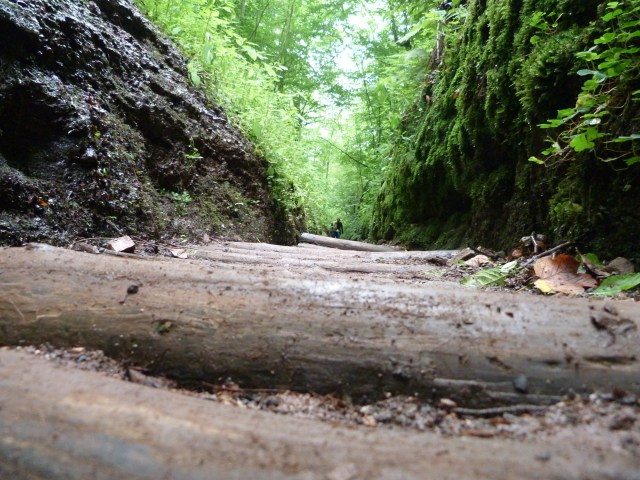 aus der Schlucht