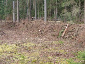 ordentlich geschichtet