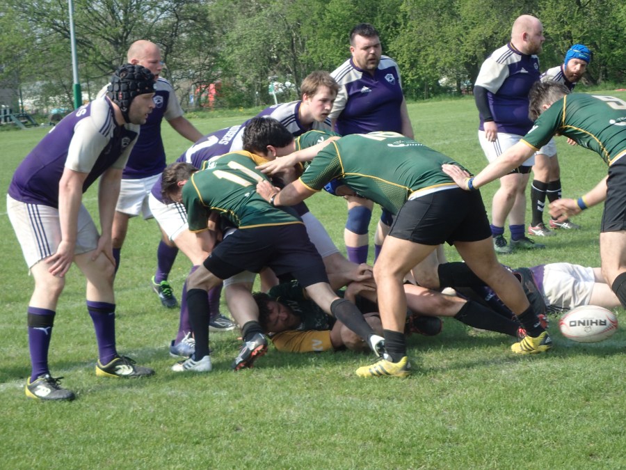 Rugby 5